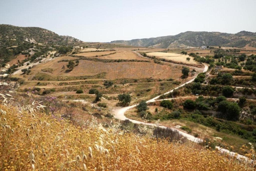 Panoramic Holidays Peyia Buitenkant foto